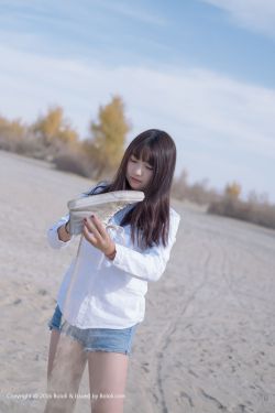 《野花香》